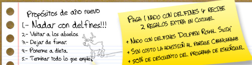 Promociones en Cozumel