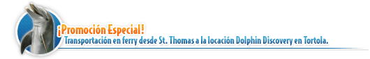 Tortola Transportation deal