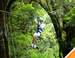 Galeria Paquete a Costa Rica- Naturaleza Viva