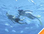 Galer�a Tulum - Xel-H� todo incluido 