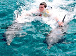 Columbus Lobster Dinner Cruise + Royal Garraf&oacute;n + Dolphin Royal Swim