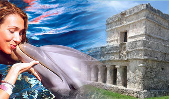 Dolphin Encounter + Tulum Express