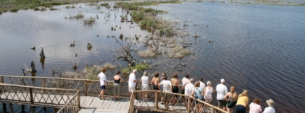 Cozumel-Cozumel por Jeep y Tour de Snorkel