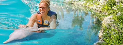 Cozumel-Dolphin Swim Adventure+Parques+Transportaci�n