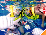 Galer�a Combo Caribe