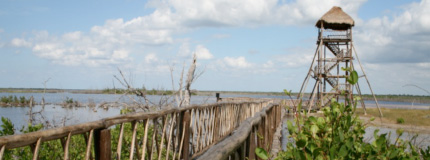 Cozumel-Paseo a Caballo y Tiempo de playa Punta Sur