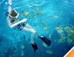 Galer�a Tres Arrecifes, tour de esn�rquel y paseo en barco