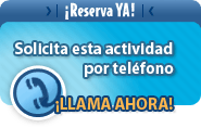Car rentals service