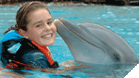 Dolphin Encounter