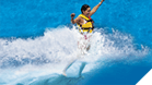Dolphin Royal Swim