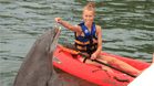 Dolphin Kayak