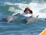 Galer�a Avistamiento de Ballenas Sn Jose + Swim Adventure