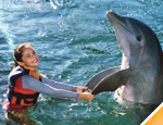 Galer�a Aktun Chen Swim Adventure + Canopy + Cenote