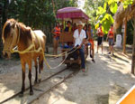 Galer�a Cave Crossing Expedition