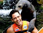 Galer�a Sea Life Circle Lobos Marinos