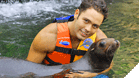 Sea Life Circle Lobos Marinos
