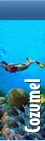 cozumel Mexico Tours y Actividades