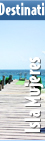 tours y actividades en puerto vallarta