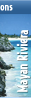 puerto vallarta mexico Tours y Actividades
