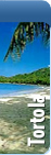 tours y actividades anguila y tortola