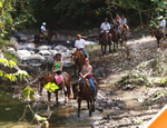 Galer�a Paseo a Caballo