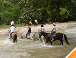 Galer�a Paseo a Caballo