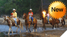 Paseo a Caballo al atardecer
