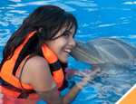 Galer�a Avistamiento de Ballenas + Dolphin Encounter