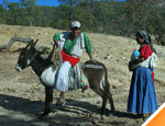 Galer�a Tour a los Huicholes