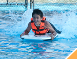 Galer�a Avistamiento de Ballenas + Dolphin Swim Adventure