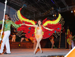 Gallery Caribbean Carnaval