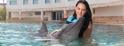 Cancún-Dolphin Swim Adventure