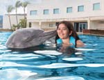 Galería Dolphin Swim Adventure