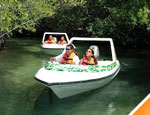 Gallery Speedboat Tour