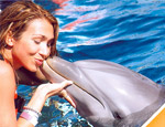 Galera Buceo con Delfines