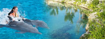 Cozumel-Dolphin Royal Swim+Parques+Transportacin