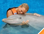 Galera Dolphin Swim Adventure