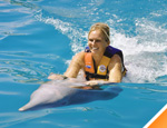 Galera Dolphin Swim Adventure
