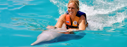 Cozumel-Dolphin Swim Adventure