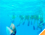 Galera Combo de Tirolesa, Playa y Snorkel en Cozumel
