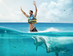 Gallery Royal Garrafon VIP + Dolphin Royal Swim VIP