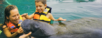 Isla Mujeres-Royal Swim VIP Plus (Sea Life Discovery Plus)