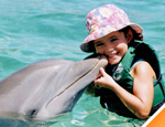 Gallery Dolphin Encounter