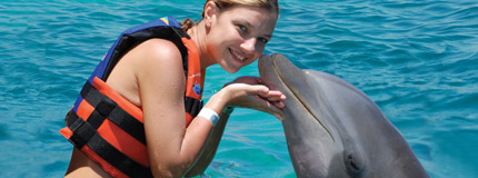 Los Cabos - Dolphin Encounter