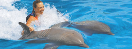 Los Cabos - Dolphin Royal Swim Plus