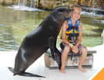 Gallery Dolphin Royal Swim Plus (Sea Life Circle)