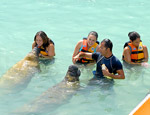 Gallery Dolphin Royal Swim Plus (Sea Life Circle)