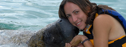 Riviera Maya - Dolphin Royal Swim Plus (Sea Life Circle)